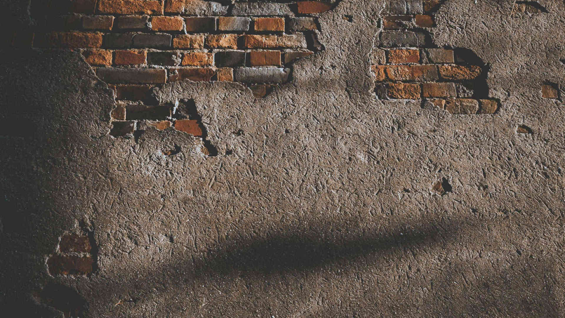 Pexels Hngstrm 1901028