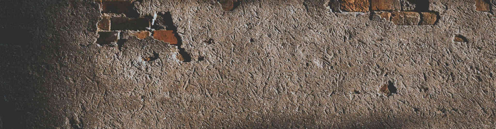 Pexels Hngstrm 1901028