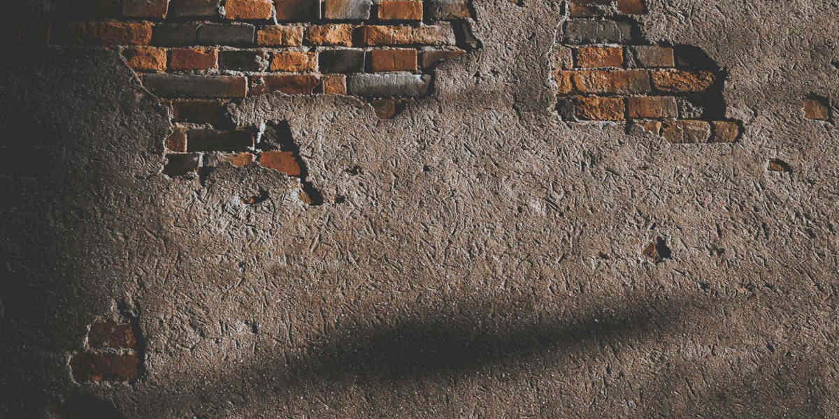 Pexels Hngstrm 1901028