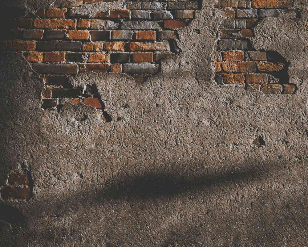 Pexels Hngstrm 1901028