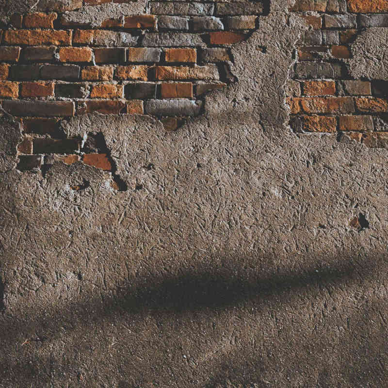 Pexels Hngstrm 1901028